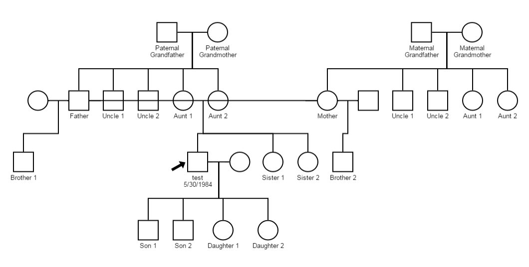 Genogram laten maken Amsterdam